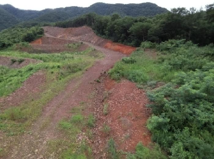 충청북도 괴산군 청천면 금평리 20-1 외 7필지 전 경매 사진 2