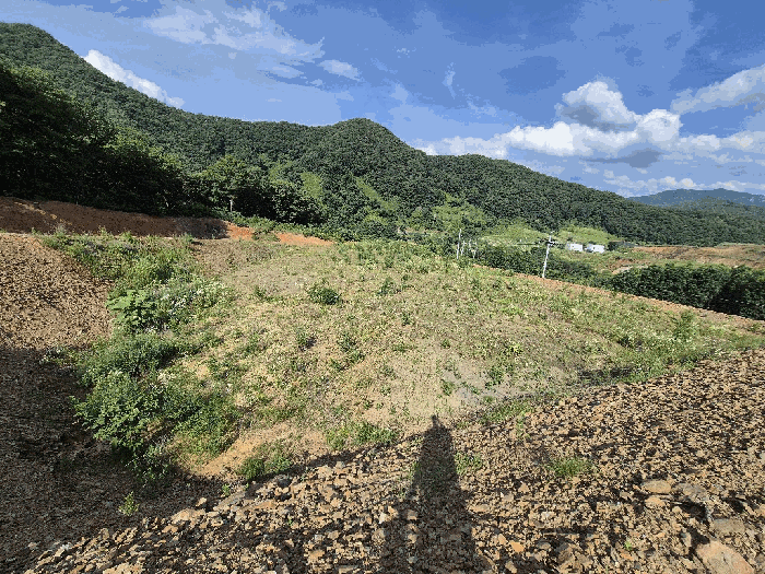 충청북도 괴산군 청천면 금평리 20-1 외 7필지 전 경매 사진 12