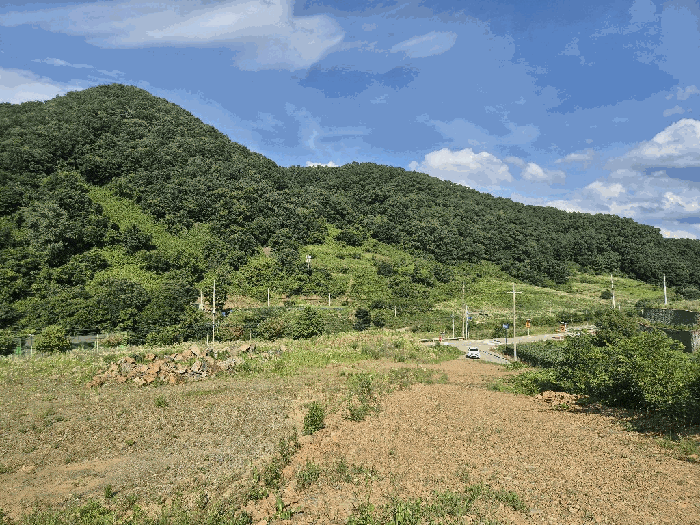 충청북도 괴산군 청천면 금평리 20-1 외 7필지 전 경매 사진 15