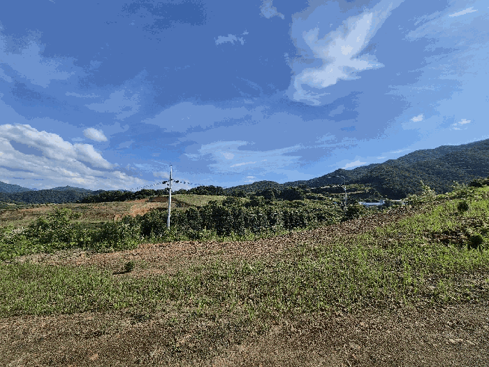 충청북도 괴산군 청천면 금평리 20-1 외 7필지 전 경매 사진 8