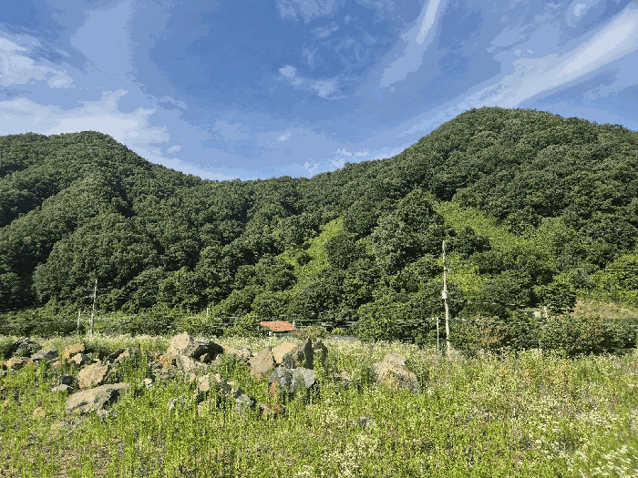 충청북도 괴산군 청천면 금평리 20-1 외 7필지 전 경매 사진 10