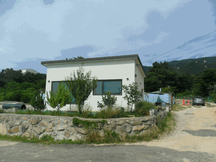 경상북도 경주시 외동읍 모화리 산99-5 임야 경매 사진 28