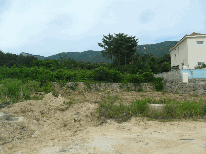 경상북도 경주시 외동읍 모화리 산99-5 임야 경매 사진 23