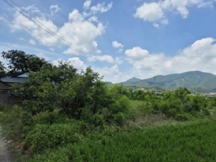 경상북도 경주시 안강읍 옥산리 1137-5 답 경매 사진 7