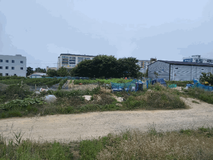 경상북도 포항시 남구 동해면 약전리 448-1 답 경매 사진 14