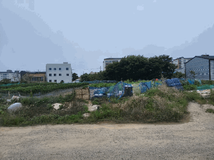 경상북도 포항시 남구 동해면 약전리 448-1 답 경매 사진 15