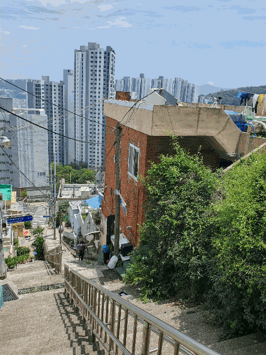 부산광역시 서구 서대신동2가 474-34 주택 경매 사진 14