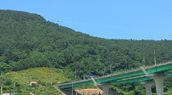 경상남도 거제시 일운면 옥림리 산96-10 외 4필지 임야 경매 사진 2