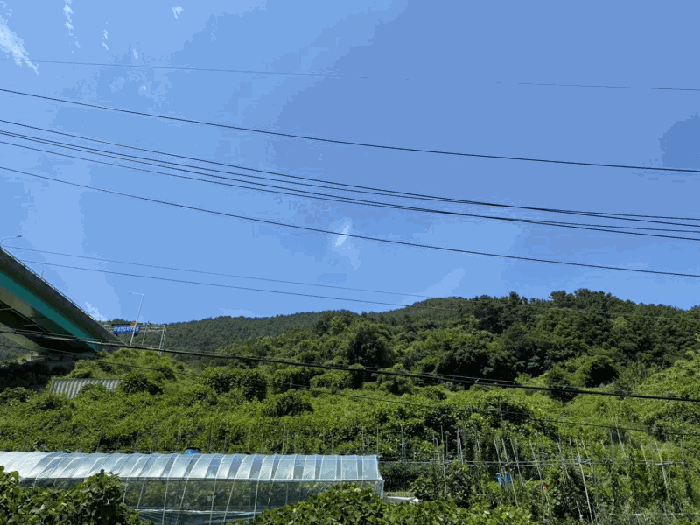 경상남도 거제시 일운면 옥림리 산96-10 외 4필지 임야 경매 사진 11
