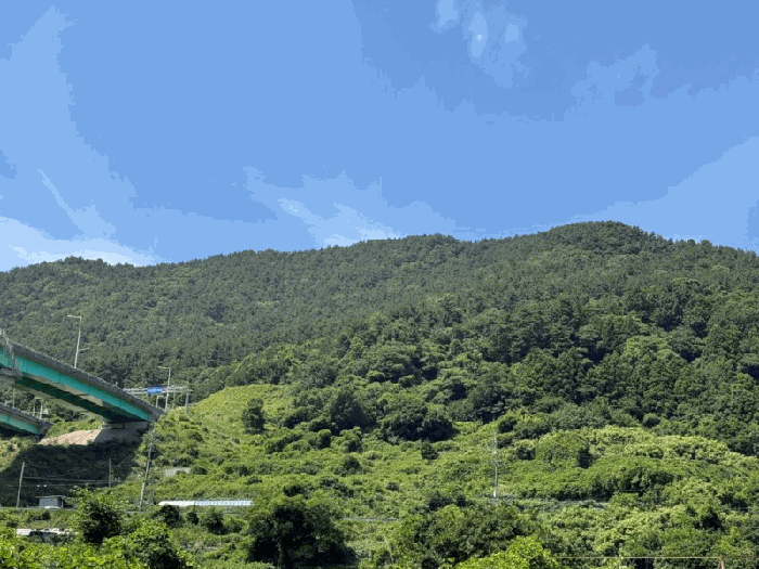 경상남도 거제시 일운면 옥림리 산96-10 외 4필지 임야 경매 사진 12