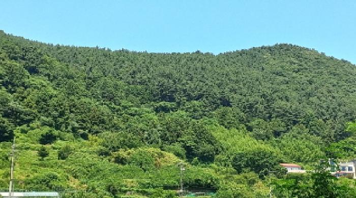 경상남도 거제시 일운면 옥림리 산96-10 외 4필지 임야 경매 사진 5