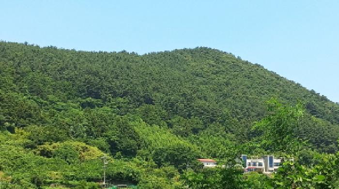 경상남도 거제시 일운면 옥림리 산96-10 외 4필지 임야 경매 사진 6