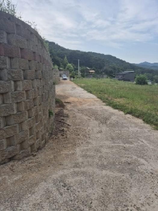 전라남도 장성군 황룡면 아곡리 495-4 외 14필지 전 경매 사진 13