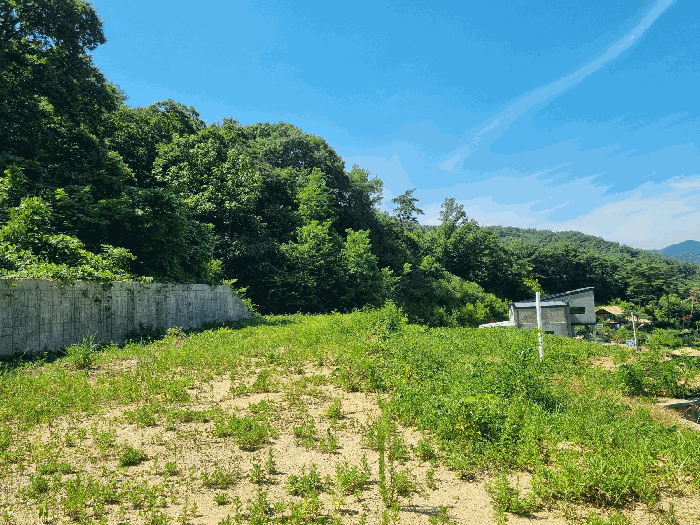 전라남도 장성군 황룡면 아곡리 495-4 외 14필지 전 경매 사진 24