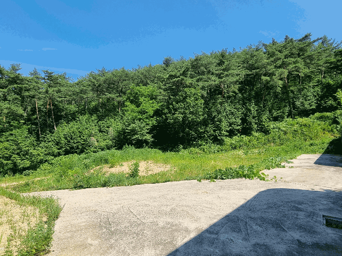 전라남도 장성군 황룡면 아곡리 495-4 외 14필지 전 경매 사진 28