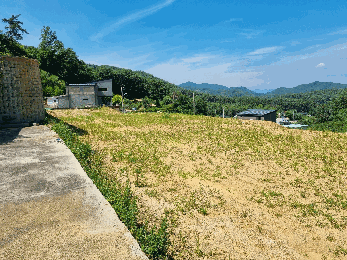 전라남도 장성군 황룡면 아곡리 495-4 외 14필지 전 경매 사진 49