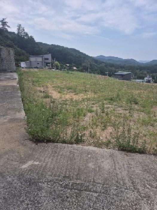 전라남도 장성군 황룡면 아곡리 495-4 외 14필지 전 경매 사진 10