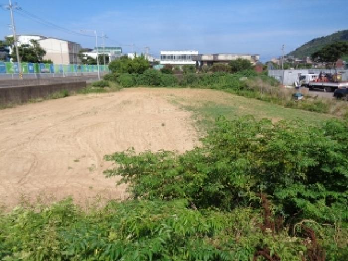 제주특별자치도 제주시 한경면 고산리 2904-2 외 3필지 전 경매 사진 8