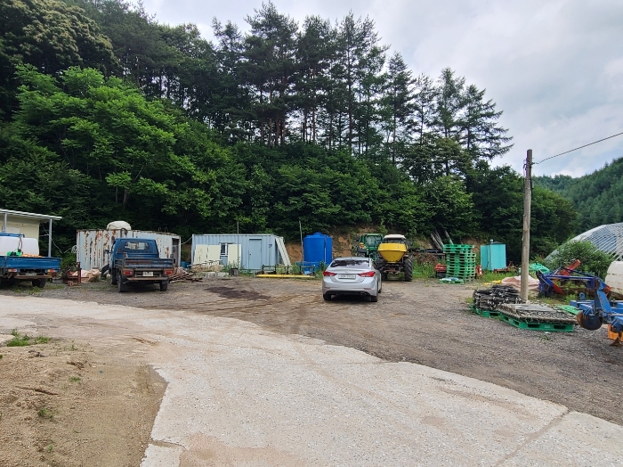 강원특별자치도 강릉시 왕산면 고단리 777 외 2필지 전 경매 사진 12