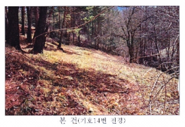 강원도 강릉시 왕산면 대기리 1650 대지 경매 사진 1