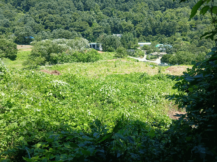 경기도 가평군 가평읍 두밀리 327 외 3필지 답 경매 사진 30