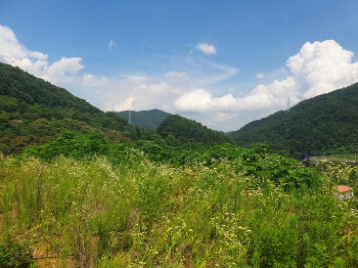 경기도 가평군 가평읍 두밀리 327 외 3필지 답 경매 사진 10