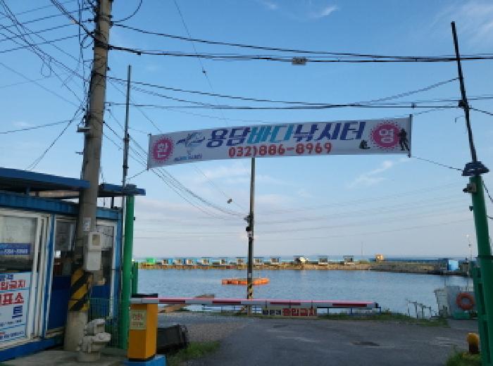 인천광역시 옹진군 영흥면 외리 산62-1 임야 경매 사진 10