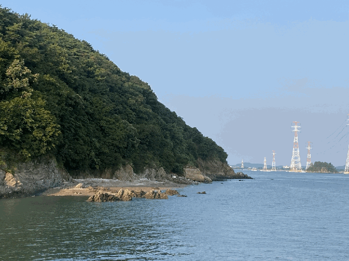 인천광역시 옹진군 영흥면 외리 산62-1 임야 경매 사진 16
