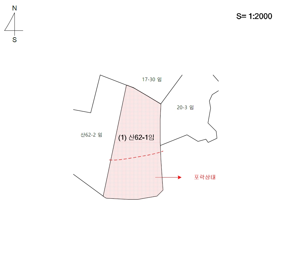 인천광역시 옹진군 영흥면 외리 산62-1 임야 경매 사진 19