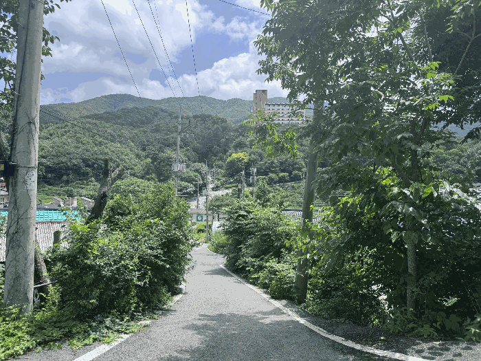 경기도 안성시 양성면 미산리 187-2 대지 경매 사진 14