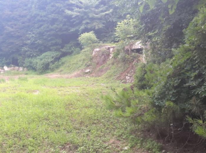 경기도 안성시 양성면 미산리 187-2 대지 경매 사진 5