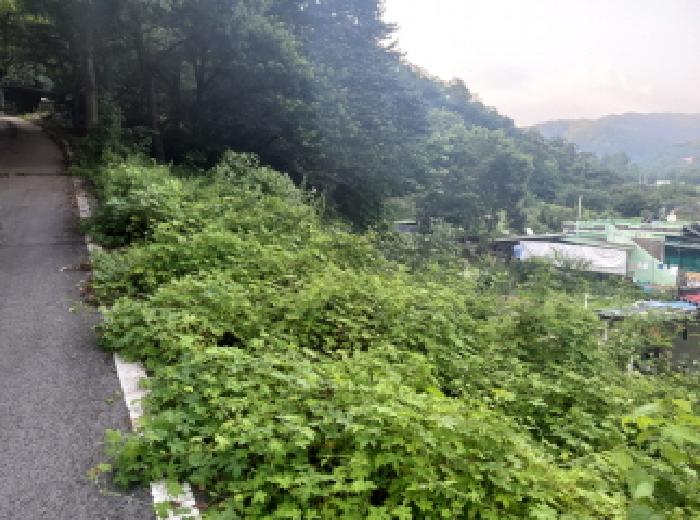 경기도 안성시 양성면 미산리 187-2 대지 경매 사진 7