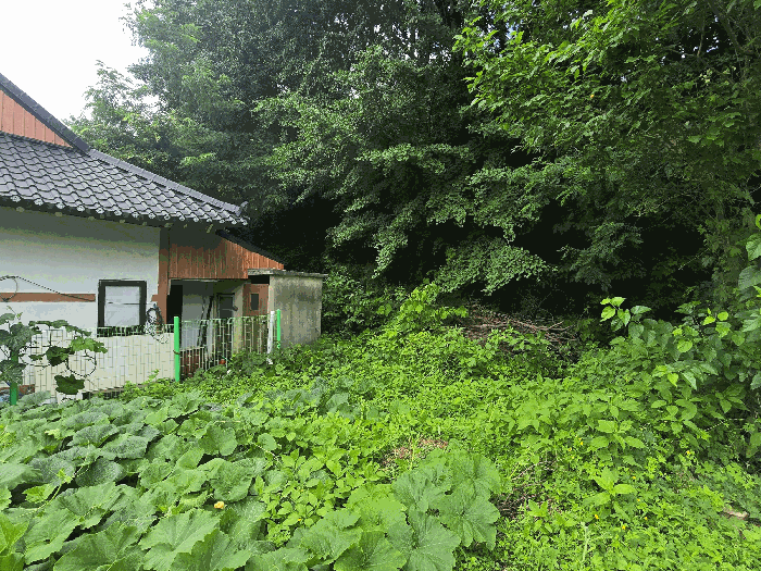 경기도 안성시 양성면 미산리 187-2 대지 경매 사진 10