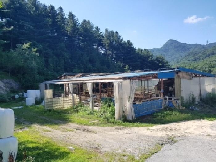 강원특별자치도 인제군 인제읍 덕적리 299-1 외 4필지 목장용지 경매 사진 2