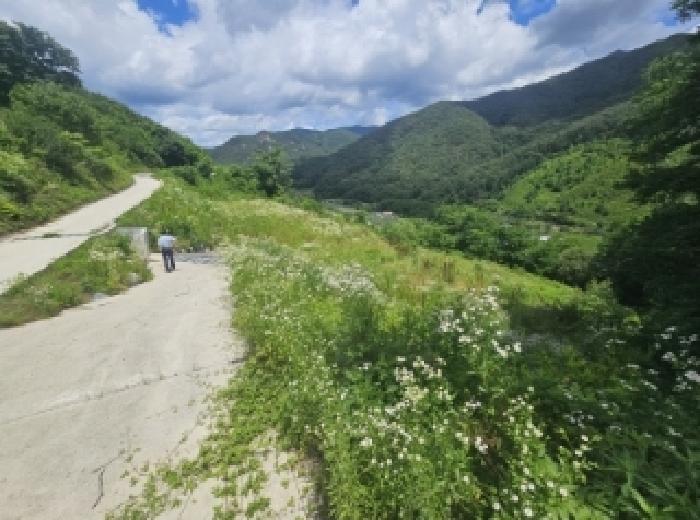 충청북도 단양군 대강면 덕촌리 113 전 경매 사진 27