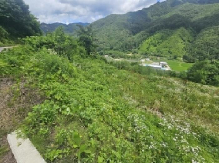 충청북도 단양군 대강면 덕촌리 113 전 경매 사진 28