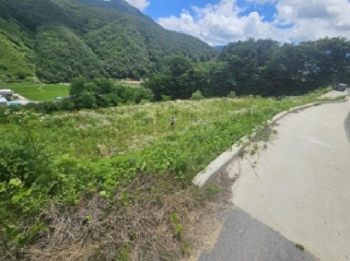 충청북도 단양군 대강면 덕촌리 113 전 경매 사진 29