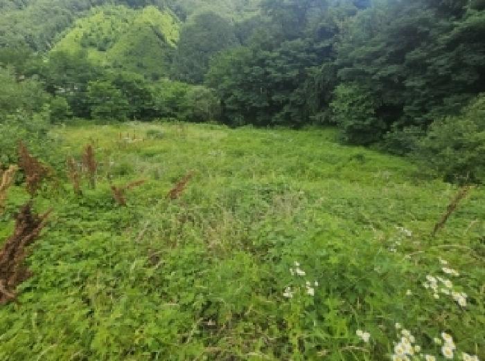 충청북도 단양군 대강면 덕촌리 113 전 경매 사진 30