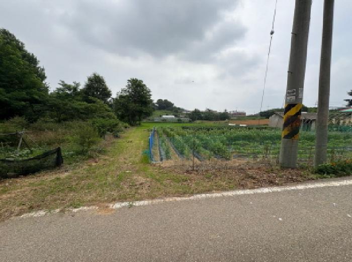 충청남도 당진시 송악읍 한진리 27-2 외 1필지 답 경매 사진 6