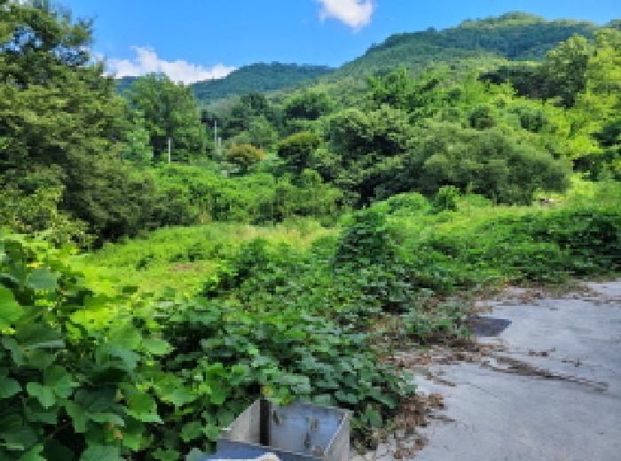 대구광역시 달성군 가창면 우록리 412 외 1필지 답 경매 사진 4