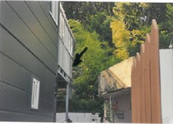 경상북도 구미시 지산동 산26-3 임야 경매 사진 19