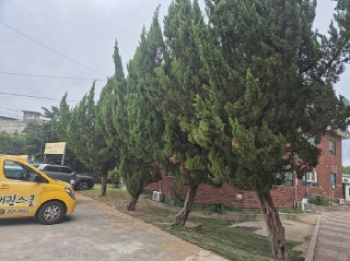 경상북도 포항시 남구 오천읍 구정리 63-5 외 3필지 근린생활시설 경매 사진 8
