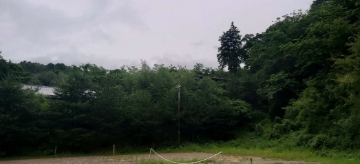 충청북도 청주시 서원구 남이면 양촌리 75-20 근린시설 경매 사진 19