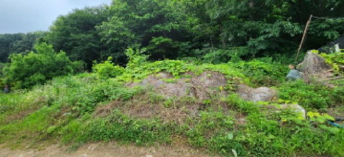 경기도 양주시 광적면 우고리 245-3 외 2필지 전 경매 사진 3