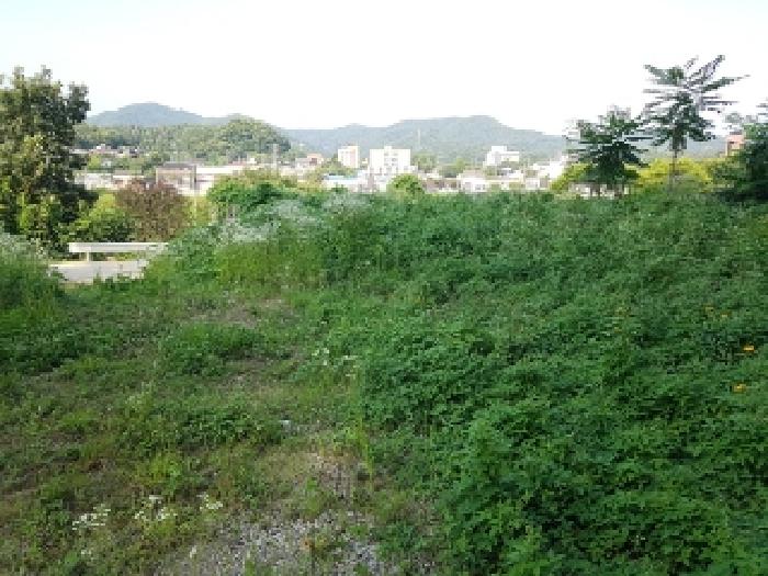 강원특별자치도 홍천군 북방면 상화계리 254-16 외 2필지 전 경매 사진 3