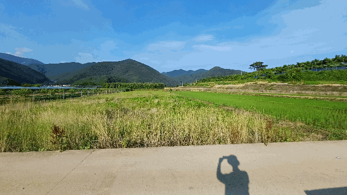 경상북도 영천시 화북면 자천리 425 전답 경매 사진 3