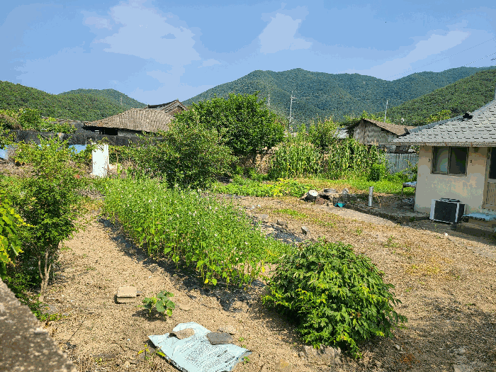 경상남도 창원시 마산합포구 진전면 봉곡리 563 대지 경매 사진 6