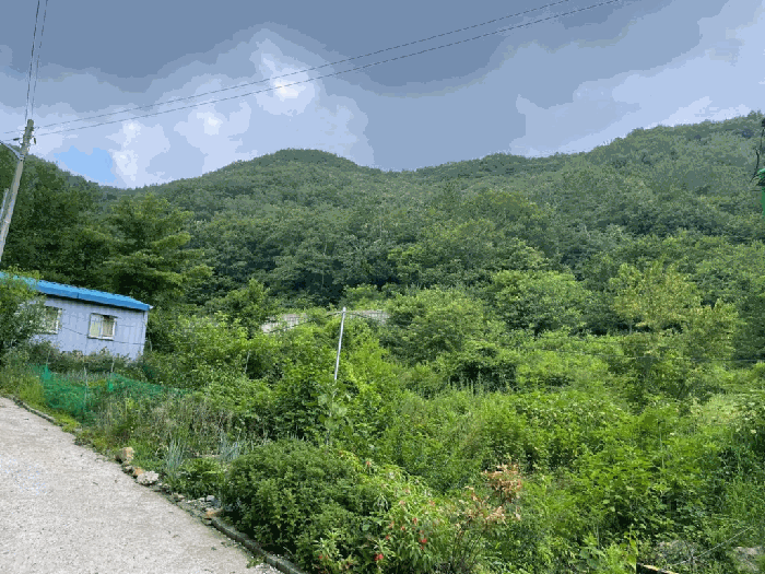 전북특별자치도 완주군 상관면 죽림리 산187 외 2필지 임야 경매 사진 11