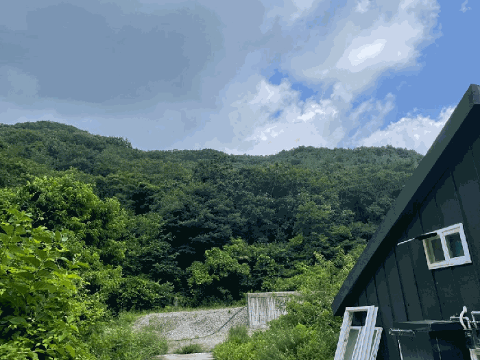 전북특별자치도 완주군 상관면 죽림리 산187 외 2필지 임야 경매 사진 14