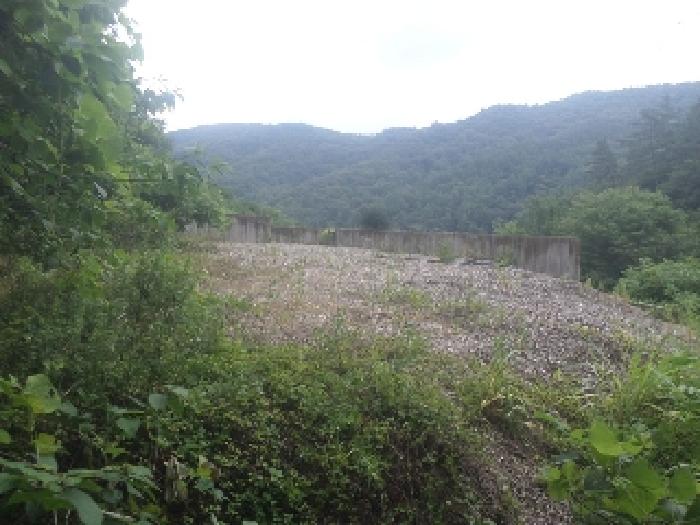 전북특별자치도 완주군 상관면 죽림리 산187 외 2필지 임야 경매 사진 6